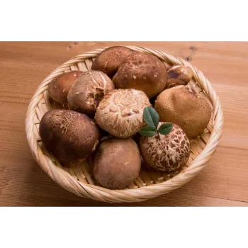 frozen-mushroom-06 (1)-3157697-18490.webp